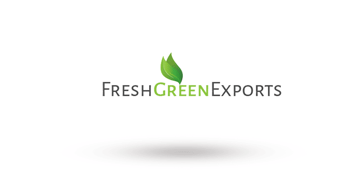 haznox-tech-clients-06